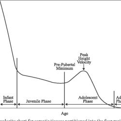 Growth spurt adolescence puberty