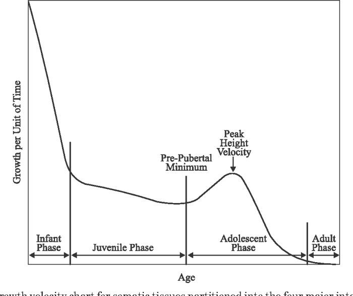 Growth spurt adolescence puberty