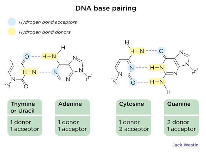 Aamc biology question pack 1