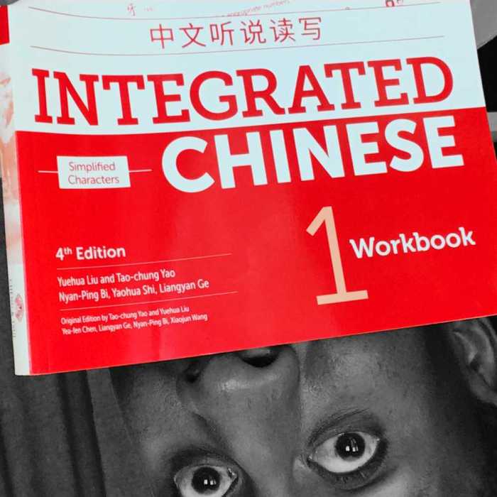 Workbook integrated basics