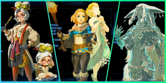 Tears of the kingdom character profiles