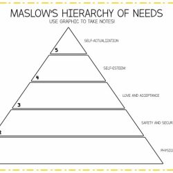 Hierarchy maslow maslows