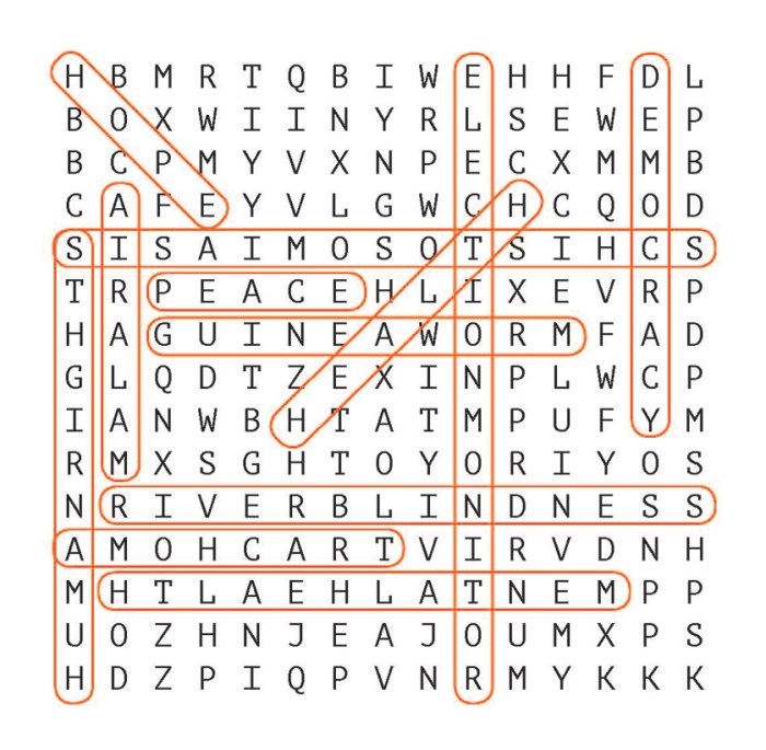 Los adjetivos word search answer key