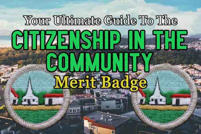 Citizenship in the community merit badge packet answers