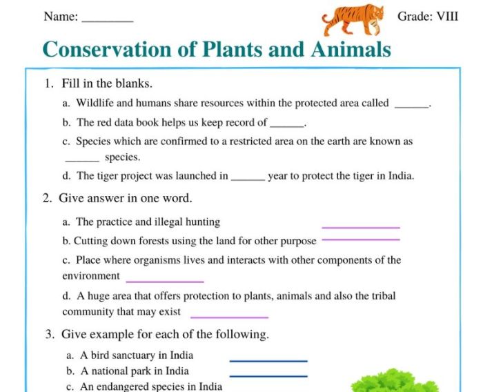Physical science worksheet conservation of energy #2 answer key